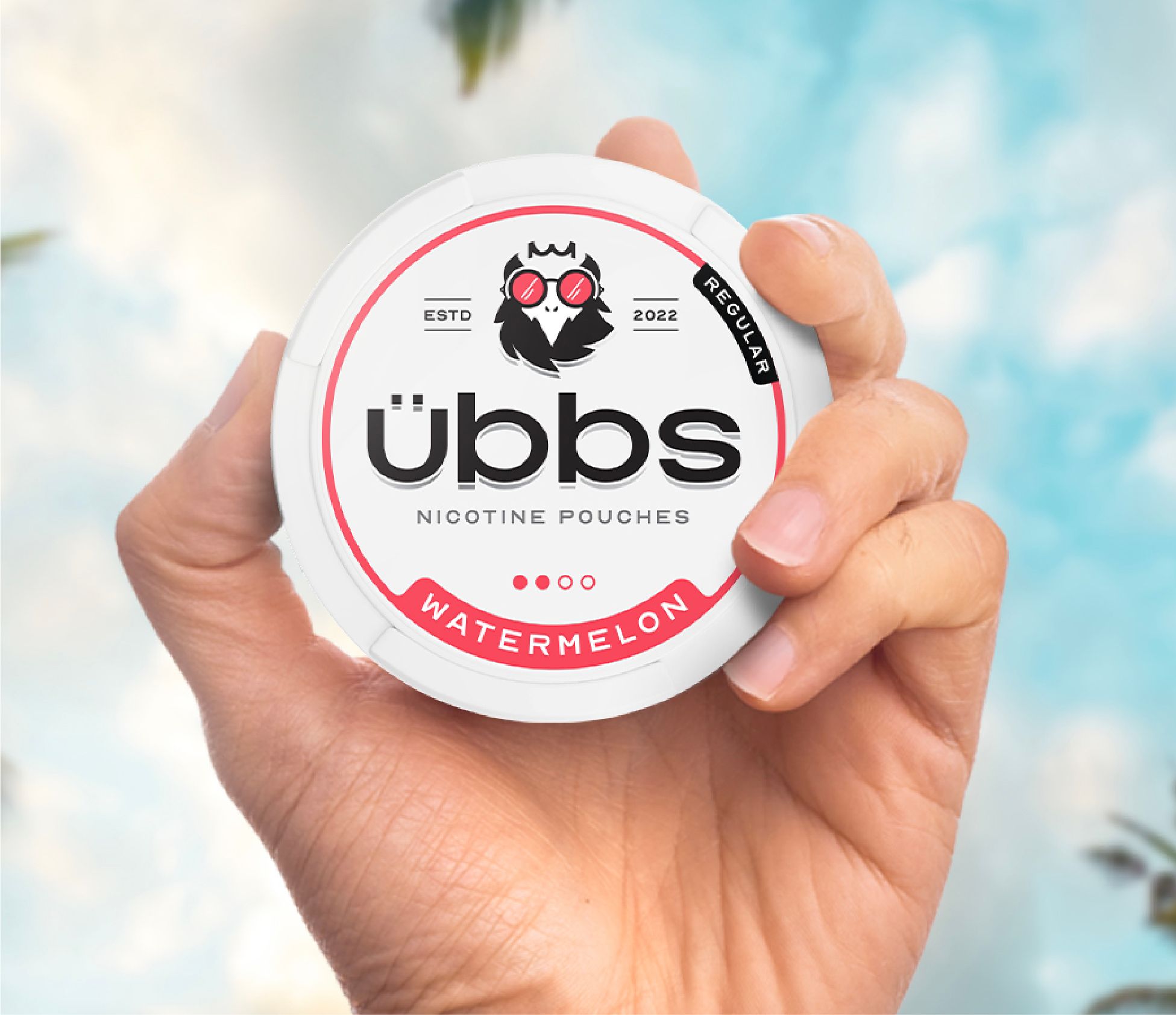 übbs
