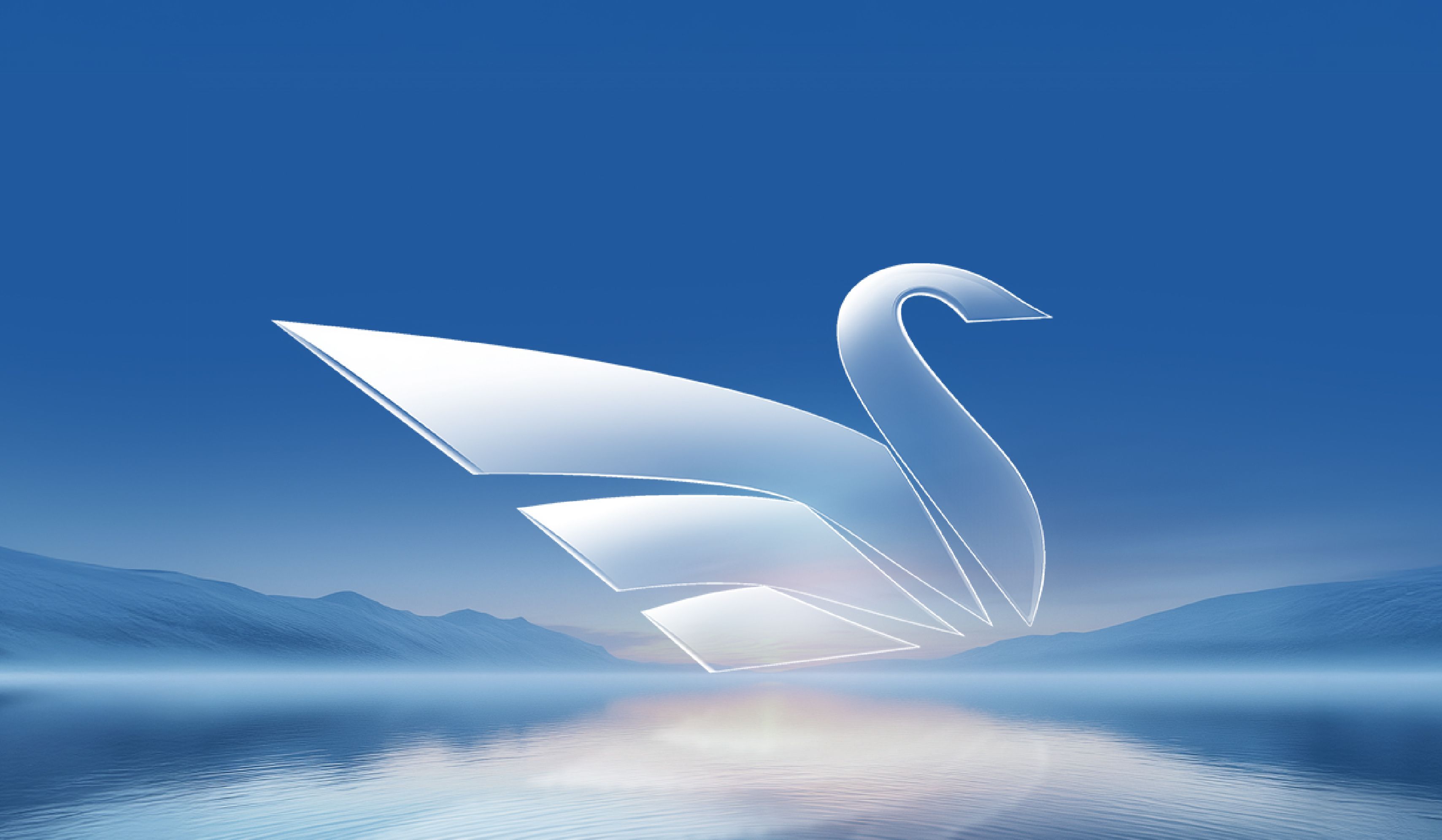 Case Study Banner
